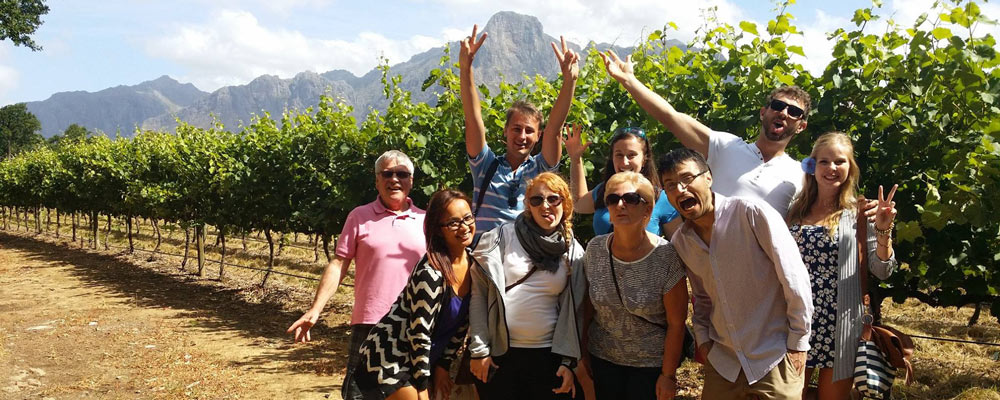 Wine Tours