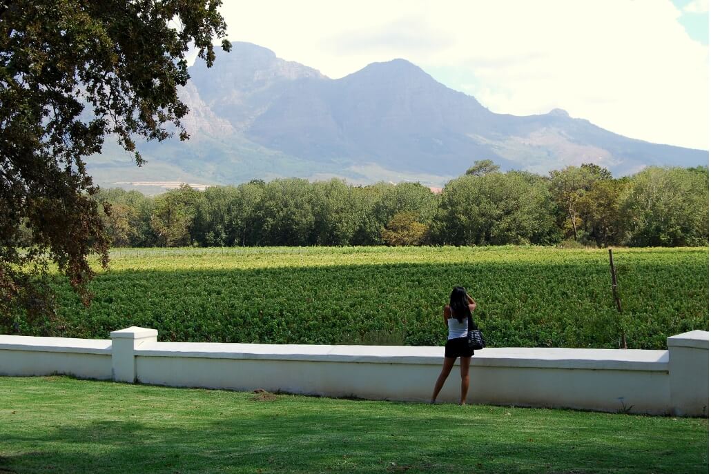 Franschhoek Wine Tours